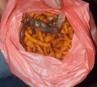 யாழில். மிக்சருக்குள் பொரித்த பல்லி!